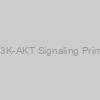 Human PI3K-AKT Signaling Primer Library